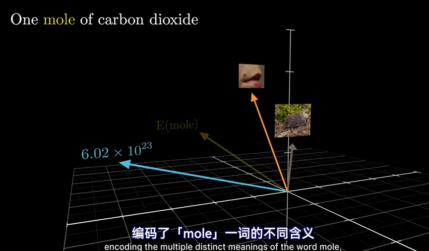 同一个词在不同语境下的向量方向不同：mole 在两种含义下指向不同的语义方向